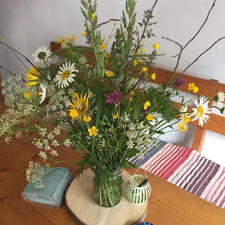 Apartman Majerčák *